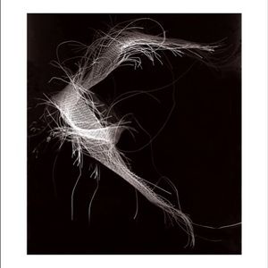 Meet your Posher, Ellena